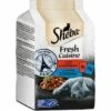 Sheba Fresh Cuisine 36x50g Taste Of Paris -ANIMON Geschaft 00045d4d4a2313bc45e4d34ebd1b6104f8127a36 9b65a4bc2f1a07f23dfab76bad3283fa55d05f28