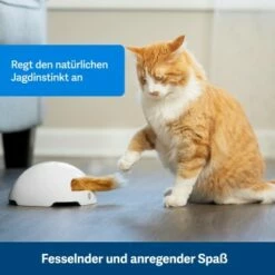PetSafe Automatisches Katzenspielzeug Fox Den -ANIMON Geschaft 038232be25f9015ce160251d628e0af5cabbc69f 1351524 de DE dbeb3a30744bbc866a12a3ecd4f619007abf0a14xn8Dpf