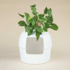 RHR Quality Katzentoilette Flower XXL 11 RHR Quality Katzentoilette Flower XXL -ANIMON Geschaft 045c34da52ea42a8ca93faa0ffc4384eb81e7dd2 1641853 de DE 9141ae2b51dfaf3b5b7cf3a1ab485e45a4e63ee0Obqwe6