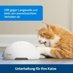 PetSafe Automatisches Katzenspielzeug Fox Den -ANIMON Geschaft 08408a2d9006c3b10c605053b082403622980ada 1351524 de DE 8502feb5da21e0ab937dc8c82ecaeac4aebee886lllVcE