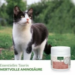 Aniforte Taurin 100g -ANIMON Geschaft 0bea68d016a7aabae30732000f396c44a019efd7 1472617 de DE b3dae817e7a2eb80d599635916b5cd68212f13aaKMDIbR