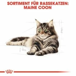 ROYAL CANIN Maine Coon Adult 10 Kg -ANIMON Geschaft 0dcdda8125bffac6c60d8bc613414dd3e537f3f9 4a409b86bb290f85c8a45c0d5080bc56aabf2ae3