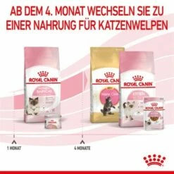 ROYAL CANIN Mother & Babycat 2 Kg -ANIMON Geschaft 0fe8497acfc1380792b3bad8590087c6f2d67d34 3182550707329 6