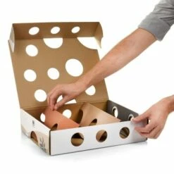 Canadian Cat Company Katzenspielzeug MagicBox -ANIMON Geschaft 142300badb79cca7ad6d02f165f6adb72822700a 1361887 de DE 0a0d8e236e46b38b19bc65d2f7a8b14b65d84da00feNa3