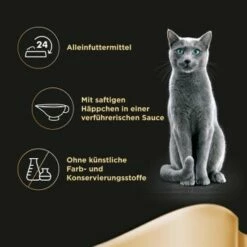 Sheba Selection In Sauce 40x85g -ANIMON Geschaft 14e29f3870b01abe8f275ecf0cf3485ecfbef678 525e1808a16081a0fc7d57a58889f83383107712