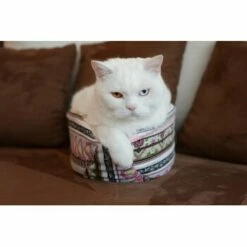 ANIMON Geschaft 19 ANIMON Geschaft -ANIMON Geschaft 1c33ff7886f1f3f346559d10f3df372c5dada126 1412667 de DE 46780a4b5da8fe052e5be00462eb02991658c41f34p9ur