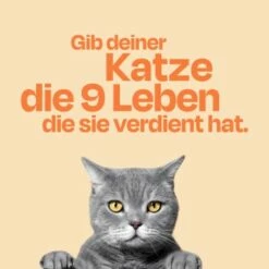The Better Cat Nassfutter Huhn & Forelle 595 G -ANIMON Geschaft 1f71412169d06ff2fa1ad339edbbdcaa84d678e0 1664526 de DE 4fdfadff663d5730da40b473c310d4ad736bf386M6pTcA