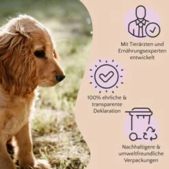 FAVLY Petfood PURE Bites Hirsch 360 G -ANIMON Geschaft 236dbc85f5fb75ec5fb4367bde1445e3087ffdcd 1474003 de DE 80624b888460a5c29f043365a19496292e44fd84TlIvR8