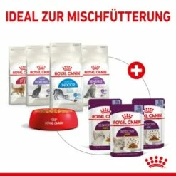 ROYAL CANIN SENSORY Smell In Gelee Für Wählerische Katzen 12x85g -ANIMON Geschaft 25c7f2b0017090b05172a164b94d24299f626039 5b9b3776479c43ed4449b8634046c65b7d96c1fe