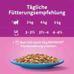 Whiskas Jumbo Pack 1+ Fisch Auswahl In Gelee 80 X 85g -ANIMON Geschaft 27393c6f070954de8517b14da99923a6e9b7c78e 1410724 de DE Whiskas 2