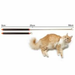 Schlitzohr Stabile Katzenangel Arnold -ANIMON Geschaft 2b03aaa8061d454c3b132f3d29075b579f022315 1484671 de DE 4db6a969e0582cf4b987acff93cb66c6c6149da6OAB1hx