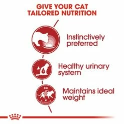 ROYAL CANIN Instinctive 12x85g In Soße -ANIMON Geschaft 2faf249e4de84dad8c16faabf659b613b388d2db 1099135 en IE ojkas 1