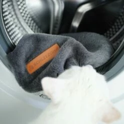 Schlitzohr Ersatzbezug Fensterbankliege -ANIMON Geschaft 31be77f1e399f6136043e21b4738926da0a2a857 1484678 de DE ef0a822967d19fb8fa7e91c1bd57dd978a972d89UwPMnu