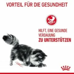 ROYAL CANIN Digestive Care 10 Kg -ANIMON Geschaft 33836b78e4dfe5d72c6cf6742ac3f6af2f72a25c 1084985 4