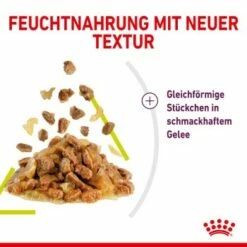 ROYAL CANIN SENSORY Smell In Gelee Für Wählerische Katzen 12x85g -ANIMON Geschaft 3469e2789c9f64bff26f87bbac39ba0a4ed440ea 45f33cf5dbb691236fc67f7b11a07842abb35bb4