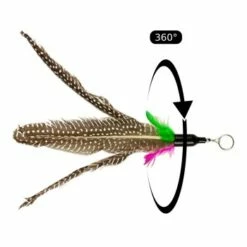 Schlitzohr Stabile Katzenangel Arnold -ANIMON Geschaft 382dabc3124b2433dd5094529d9a28ca6fe26941 1484671 de DE 446adc427da6b16fd110ddca60a13ebf08562de7l9uqlV