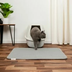 Lionto Doppellagige Katzenstreu-Matte L -ANIMON Geschaft 4396bb19d2c98d673f3e5360e11273f9f80f7fc7 1657012 de DE dff22ef02999533f13653cbf8dd630ba7757eabdQ8EdtB