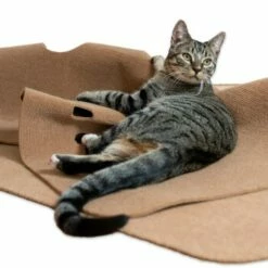 Canadian Cat Company Spielteppich Für Katzen Braun -ANIMON Geschaft 446d45749f5e58cb5a7dbc00eb3558dbe40784fe 1394213 de DE 80770b9625226d955903498b97e7018485822aeeDB3L2u