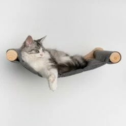 RHR Quality Wandmöbel Kletterwand Katze - Hängematte XXL De Luxe 13 RHR Quality Wandmöbel Kletterwand Katze - Hängematte XXL De Luxe -ANIMON Geschaft 475a8e1197d8955e467e23c6d6569164215ad0b7 1655443 de DE 86388ca5f84f7125c05ab89c1927d92edf94dd47mPr80Z