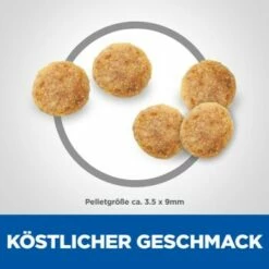 Hill's Science Plan Sensitive Stomach & Skin Adult 1+ Mit Huhn 7 Kg -ANIMON Geschaft 48376ffa020e59097bbb6399f63175ea2530e089 52742023137 6