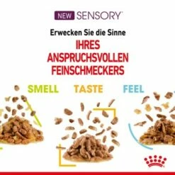 ROYAL CANIN SENSORY Smell In Gelee Für Wählerische Katzen 12x85g -ANIMON Geschaft 4a632532d23d065e189b82401db5c561b6749e74 bbe7e159ee2cfcc0155771b211da953377ec5c40