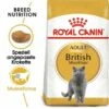 ROYAL CANIN British Shorthair Adult 2 Kg -ANIMON Geschaft 4b039ca93cfefa6ae8c2adf593bb1d9106ed015a 75be17d699ef2bcb05afc093fd94705d9bfe67c1