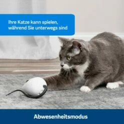 PetSafe Automatisches Katzenspielzeug RoloRat -ANIMON Geschaft 4e48313abe110e77b48862456b3054c8cbc622dd 1351522 de DE cc35ab35cec54291341f643ff079f60e72f56895BvuHXl