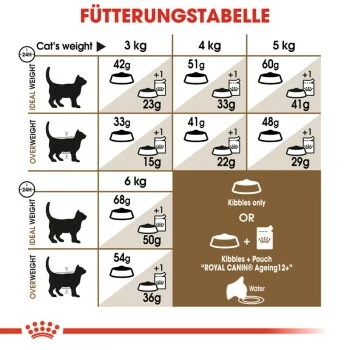 ROYAL CANIN Ageing 12+ 2 Kg 7 ROYAL CANIN Ageing 12+ 2 Kg – Bild 5