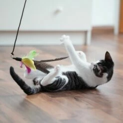 ANIMON Geschaft 26 ANIMON Geschaft -ANIMON Geschaft 54841f5ca0a2f25f571ec7332a32c6e2a90e4e62 1484671 de DE 2194cc6dae193c9b0d821763f83834cddf74faa5pNGuUj