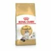 ROYAL CANIN Ragdoll Adult 10 Kg -ANIMON Geschaft 559c1176a4f08737b7b0c51f711b3a6847fa039d 1104371 de DE ragdoll