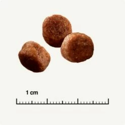 SELECT GOLD Sensitive Digestion Adult Geflügel Und Reis 2,5 Kg -ANIMON Geschaft 571cc49e96eaa29d93cdb9496136ed90f38f0ce7 1243347 de DE 6