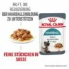 ROYAL CANIN Hairball Care 12 X 85 G -ANIMON Geschaft 59aa8094cb4cb6bb163f551c3ffda3a4580b815f 1229818 2