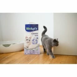 Biokat's Classic 3in1 Extra 14 L -ANIMON Geschaft 5d52880c5f6cb6a968c367a4df6d22f3606a92d3 1422137 4