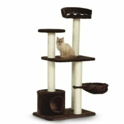 Silvio Design Kratzbaum Molly 12 Silvio Design Kratzbaum Molly -ANIMON Geschaft 605cb6718cffe169f7a2cc35d6eeab7bd09ee96b 8eb10806c380c9957ce19d0fdef05ba9a0161050