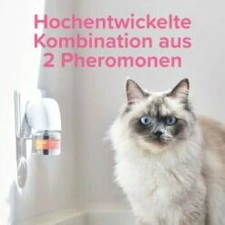 Beaphar CatComfort Excellence Nachfüll-Flakon Für Verdampfer -ANIMON Geschaft 62f9ebd7607b7a060b32fb11dae75f2d3caa19ec 1416647 1 1