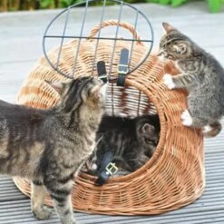 Aumüller Rattanhöhle Gesottene Weide -ANIMON Geschaft 644da56b8da52f185185b101fb3460690748ee17 ed38553d0e52453b951e62f08b371eb8a64cf3ed