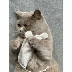 Kater Kasimir Premium Paket Mit 7 Beliebten Katzenspielzeugen Aus Naturmaterial -ANIMON Geschaft 69d850d83d44dd51ee163b4ce9871d685e5144a3 1408152 de DE 5e0e2fa341f3b7f13618444c260f3bc5df86140eIfTKHQ