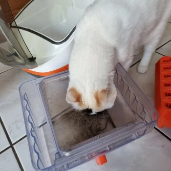 THOMAS Staubsauger 7 THOMAS Staubsauger – Bild 5