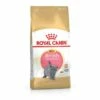 ROYAL CANIN British Shorthair Kitten 2 Kg -ANIMON Geschaft 71c3f892930b0f82fec9e74d7bc7ec662fb8157a 1081846 de DE rcbk