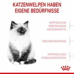 ROYAL CANIN Kitten 4 Kg -ANIMON Geschaft 76c69f287cfbe56e3ecbc6374c1c83282049ff9f 3182550702973 4