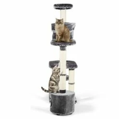 MORE Kratzbaum Rock'n'Roll -ANIMON Geschaft 787429570e005b04d57fafb000ef802fa3f58717 77e0f5d043231d9d5dc3881094c7e7009a06cae8