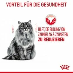 ROYAL CANIN Dental Care 3,5 Kg -ANIMON Geschaft 799e728673ffad2d7a70f49cd2891c4f467ab976 1003121009 de DE rc 5