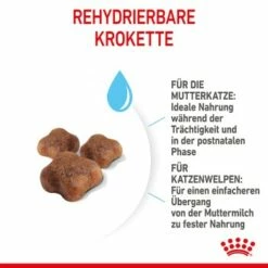 ROYAL CANIN Mother & Babycat 2 Kg -ANIMON Geschaft 7de9161ec8af5d8e5fb59d6589cba97c3ecae1bf 3182550707329 5