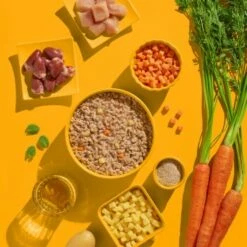 Fred & Felia FELIA 10x200g Huhn -ANIMON Geschaft 7e93c87f3bf5a7c166224c4e2c11e0bf359859f3 1422055 de DE 62374aa99ffbad947366c1bb2c8fe35cf502571cJBPclz