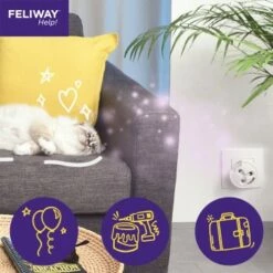 Feliway Help! 3x Nachfüllkartusche Zur Stressreduzierung -ANIMON Geschaft 7f1ce09ad09bf057f57273909ffb24fea8cb4379 1380137 5