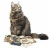 Canadian Cat Company Baldrian & Catnipspielzeug Katzenkissen LOVE, 6er Pack -ANIMON Geschaft 8146cc5c2f0d90049f7f18a19fb561c35f46fbb1 1493989 de DE 6ccdf74d5e4f1a59c2343b32af7bb9814fa4cbfbSBAjeL