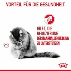 ROYAL CANIN Hairball Care 12 X 85 G -ANIMON Geschaft 81812c97ef6be37b8d0c7dab9df24712cfb21604 1229818 4