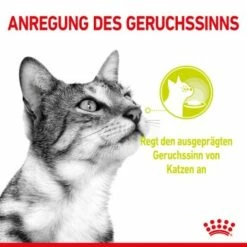 ROYAL CANIN SENSORY Smell In Gelee Für Wählerische Katzen 12x85g -ANIMON Geschaft 8189732b9ae1a398fb4fb109d95a4bf54f9ea43e e98d42f060ba951a9dc658034746788da77dfcfd
