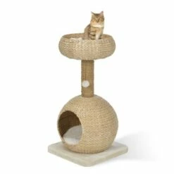 AniOne Kratzbaum Anzo -ANIMON Geschaft 8251ae4516bf903fd0d3f9c45aa1bbabf8946a79 e7ecb07cf2644d3862a8042d79dc2f0a59c03802