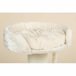 RHR Quality Kratzbaum Chartreux -ANIMON Geschaft 855416f8e5ebefe011d1a3122f06a2cf2a75d3e4 1657343 de DE 6bcca9079bf53177cf029622803340e937ccd52eTQqfro